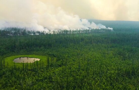 Лесные пожары в регионах России