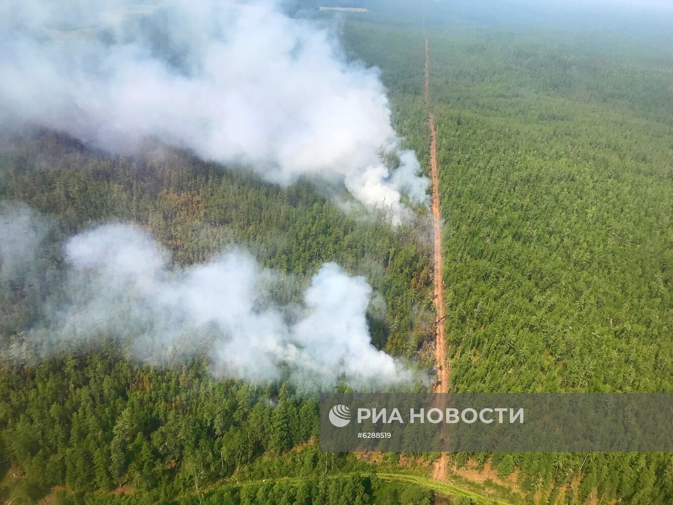 Лесные пожары в регионах России