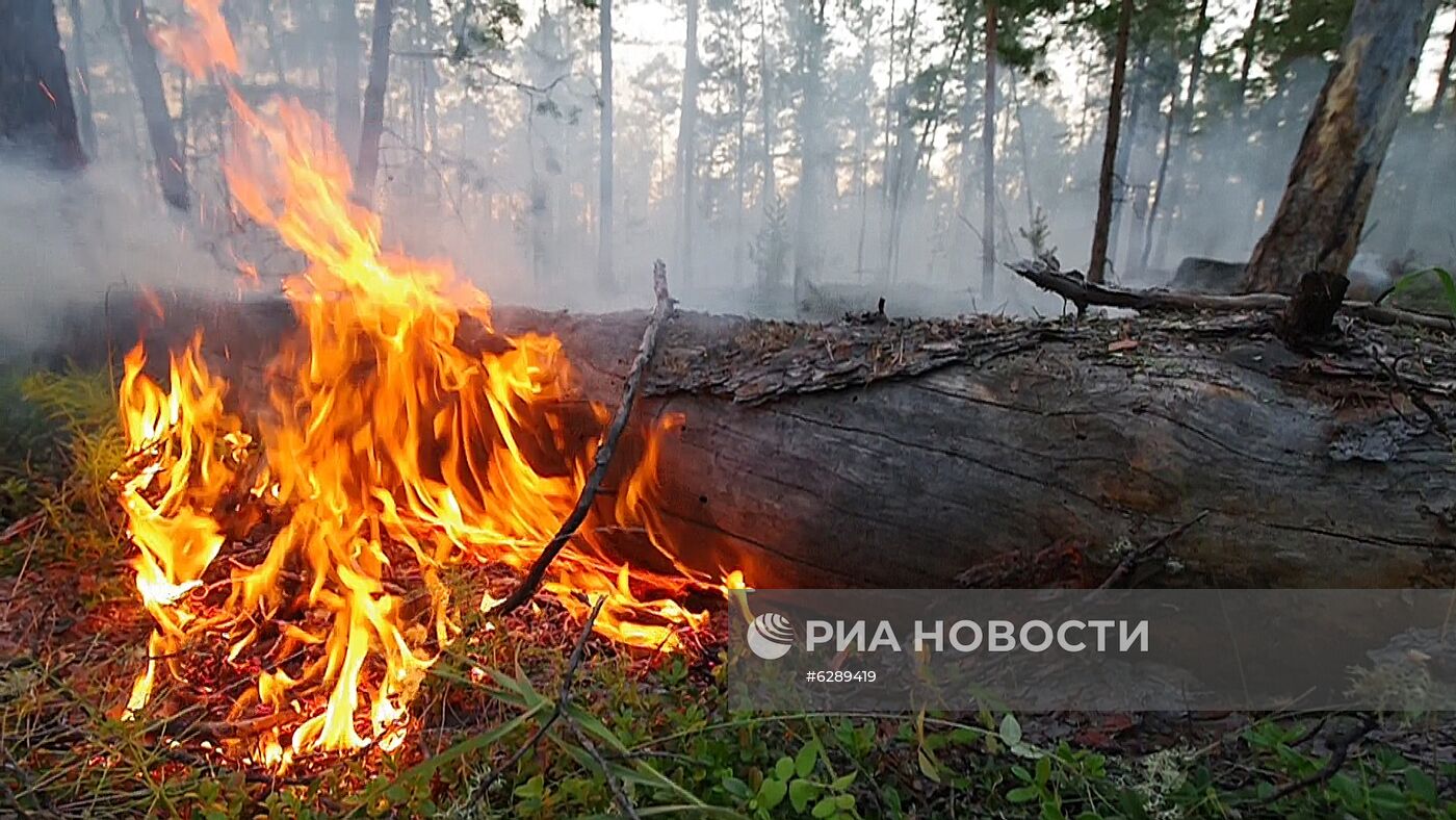 Лесные пожары в регионах России