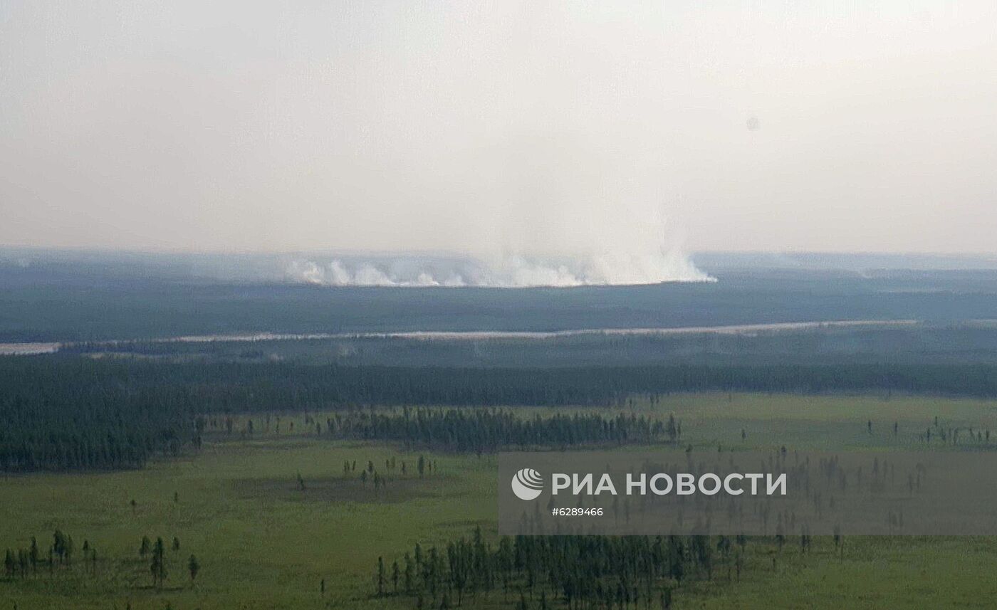 Лесные пожары в регионах России