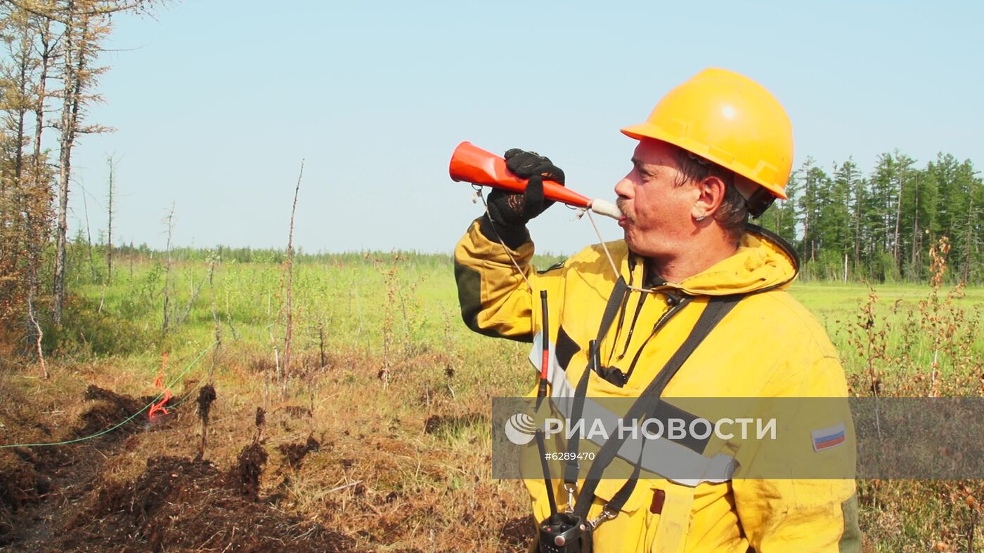 Лесные пожары в регионах России