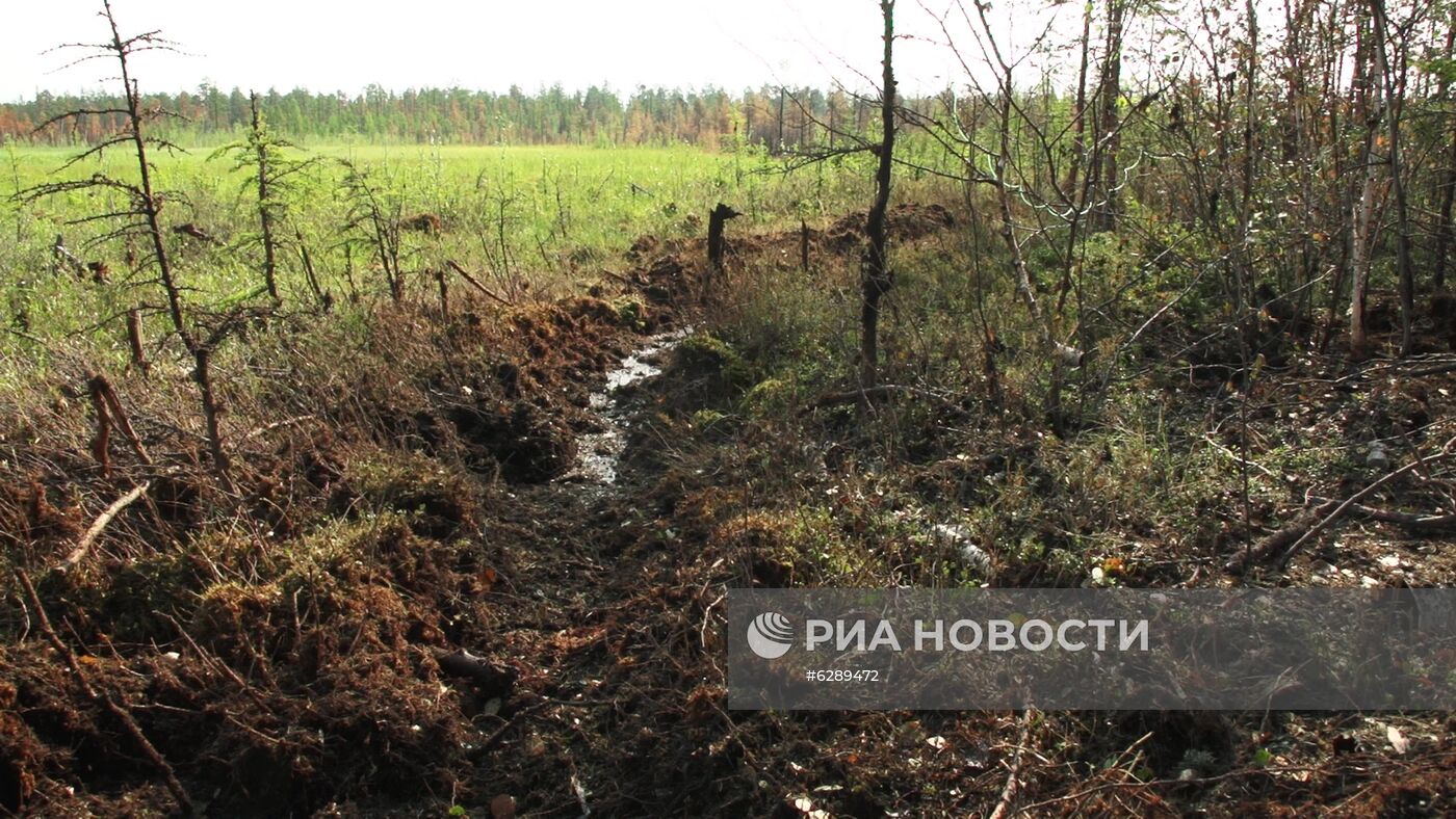 Лесные пожары в регионах России