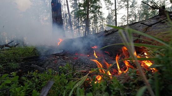 Лесные пожары в регионах России