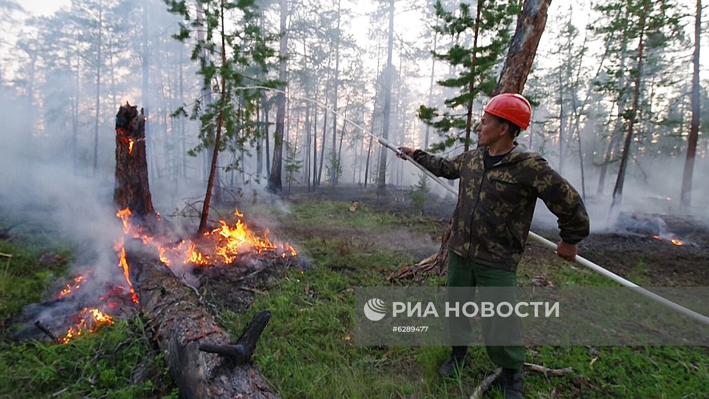 Лесные пожары в регионах России