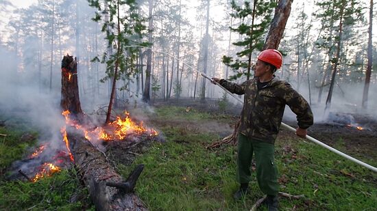 Лесные пожары в регионах России