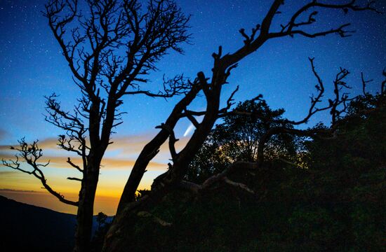 Комета NeoWise в небе над Краснодарским краем