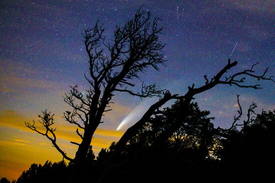 Комета NeoWise в небе над Краснодарским краем