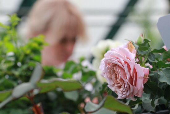 Выставка роз в Аптекарском огороде