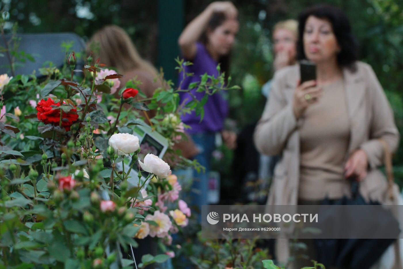 Выставка роз в Аптекарском огороде