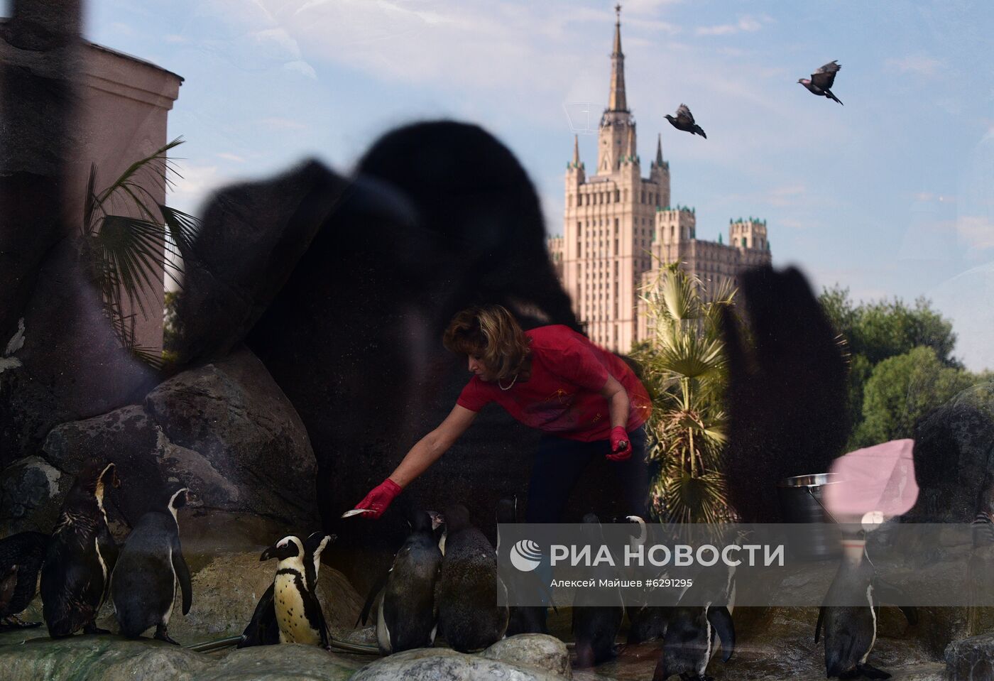 Лето в Московском зоопарке