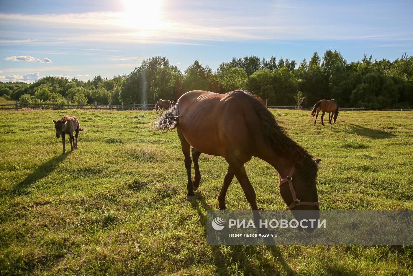 Лето в регионах России