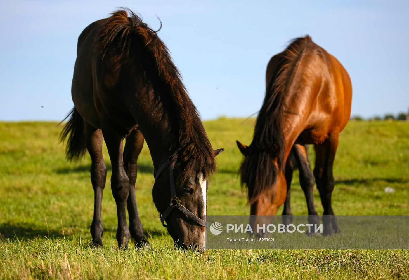 Лето в регионах России