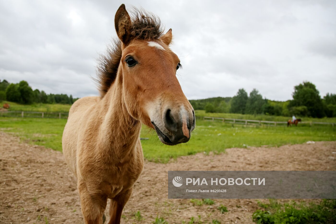 Лето в регионах России