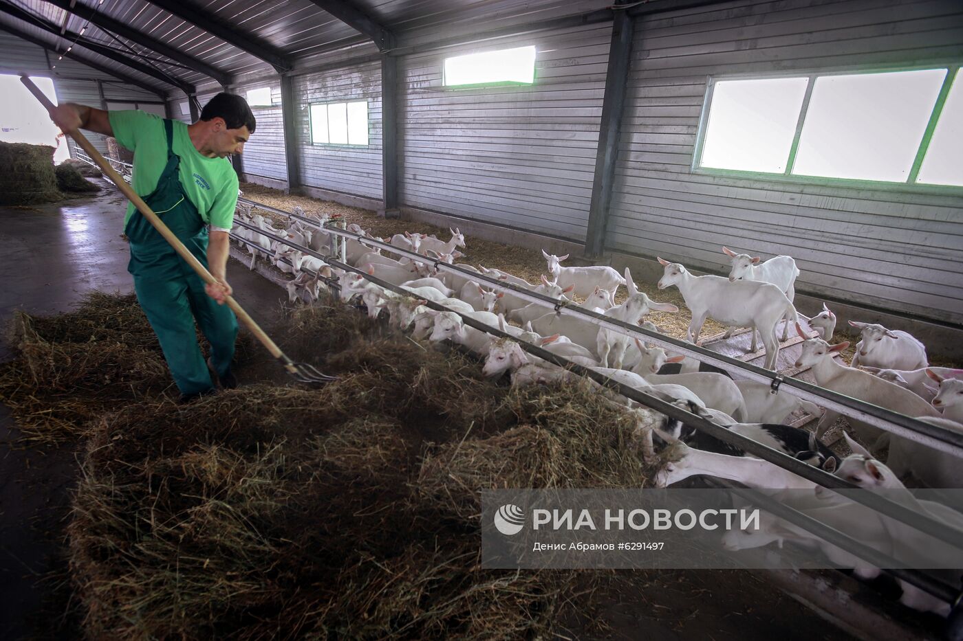 Фермерское хозяйство в Ставропольском крае