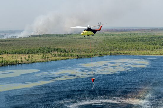 Лесные пожары в Ханты-Мансийском автономном округе