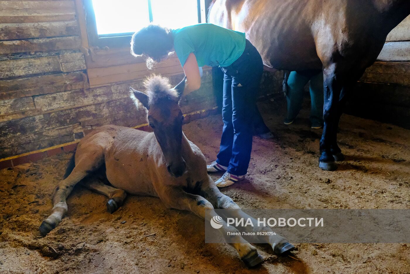 Лето в регионах России