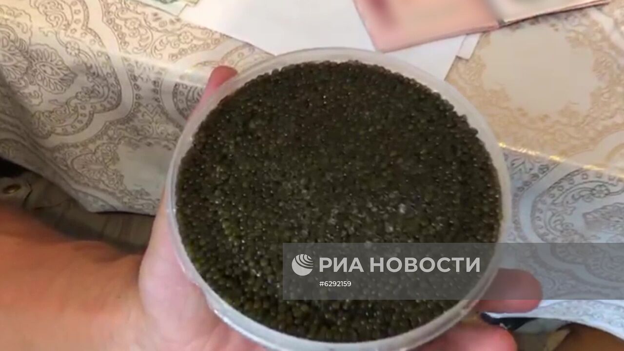 ФСБ РФ пресекла незаконный оборот биоресурсов