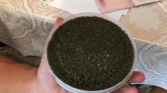 ФСБ РФ пресекла незаконный оборот биоресурсов