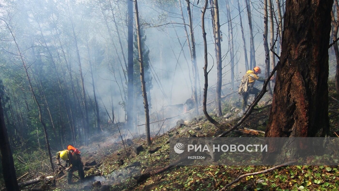 Лесные пожары в регионах России