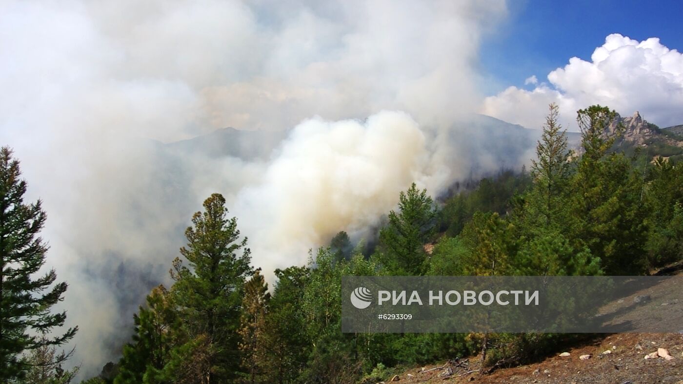 Лесные пожары в регионах России