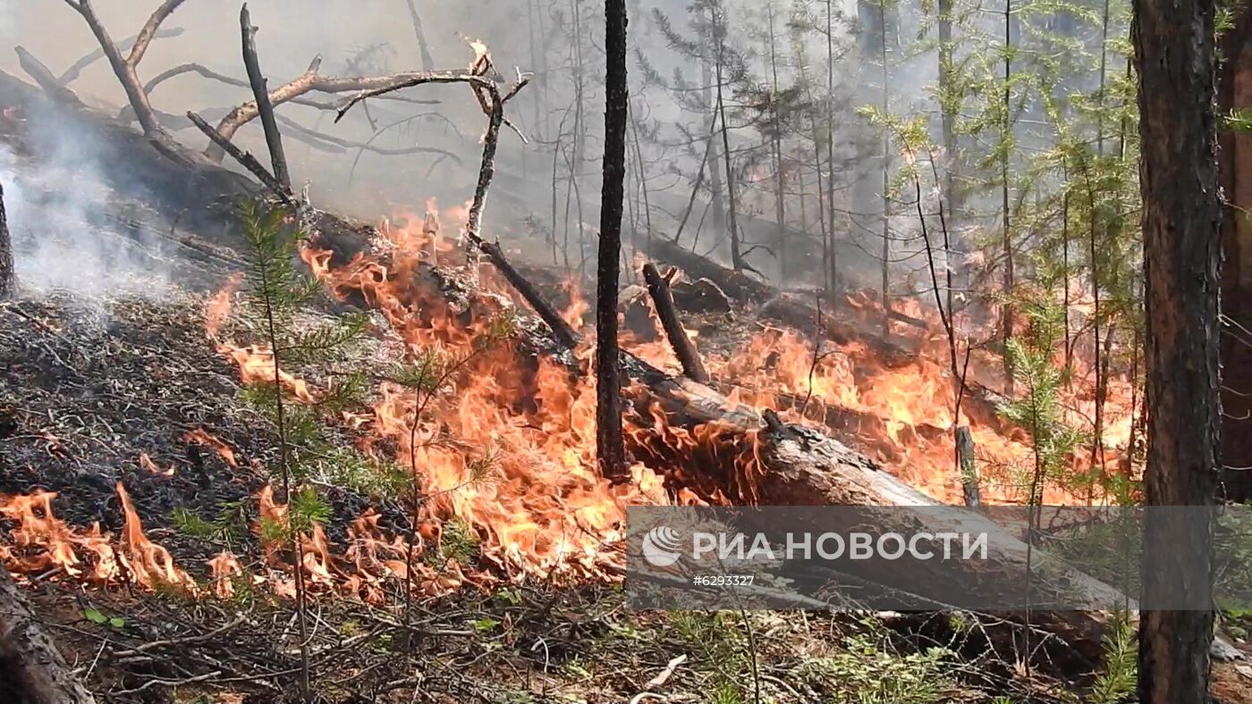 Лесные пожары в регионах России