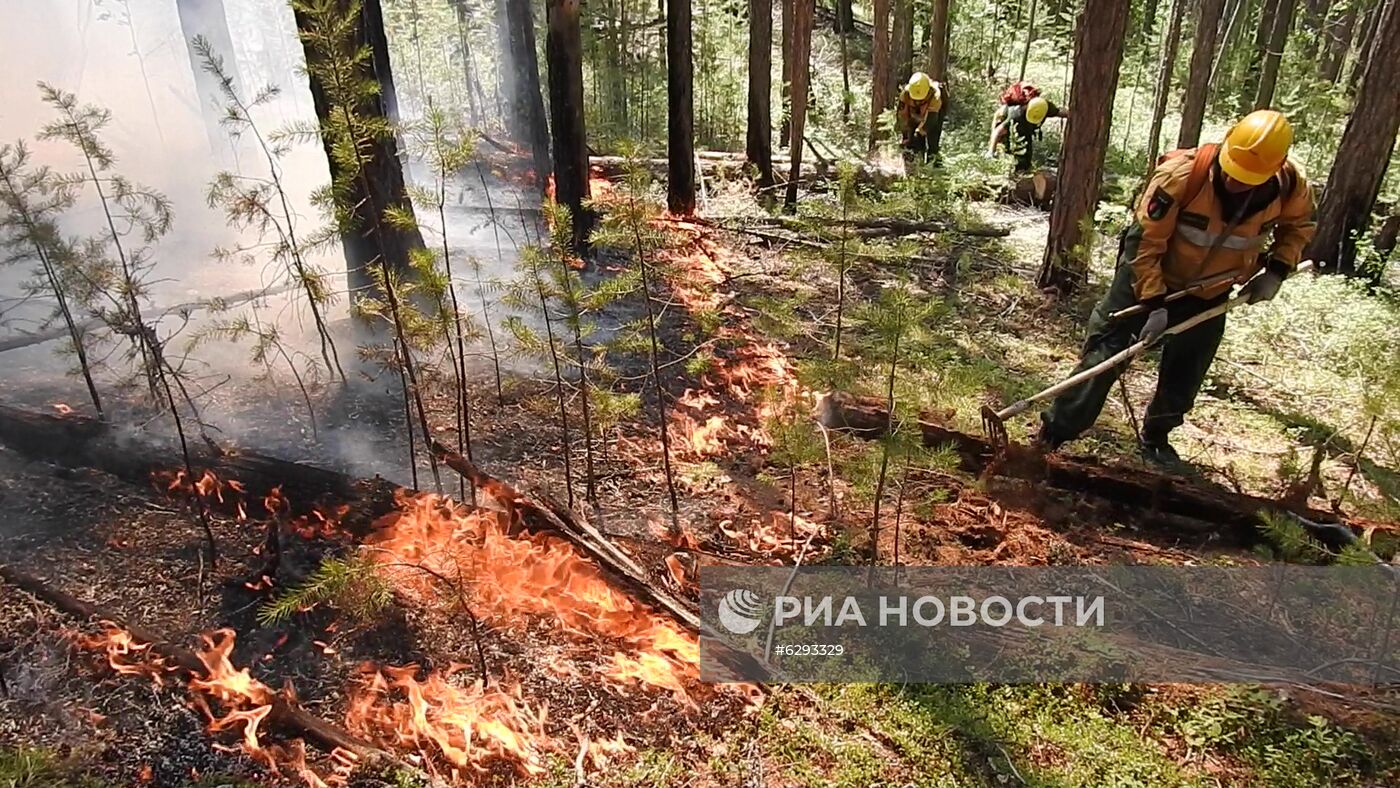 Лесные пожары в регионах России