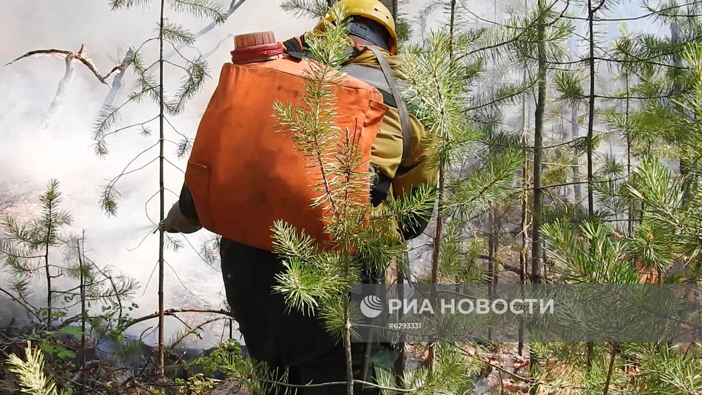 Лесные пожары в регионах России