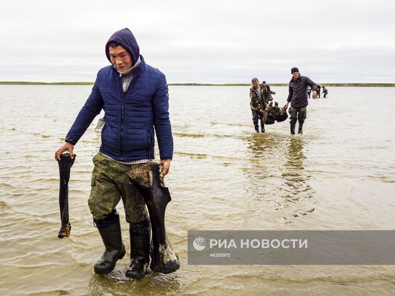 Скелет взрослого мамонта нашли на Ямале