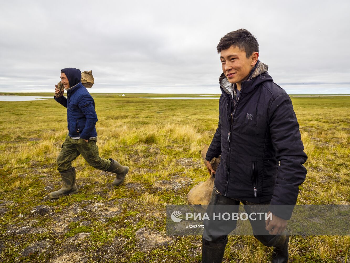 Скелет взрослого мамонта нашли на Ямале
