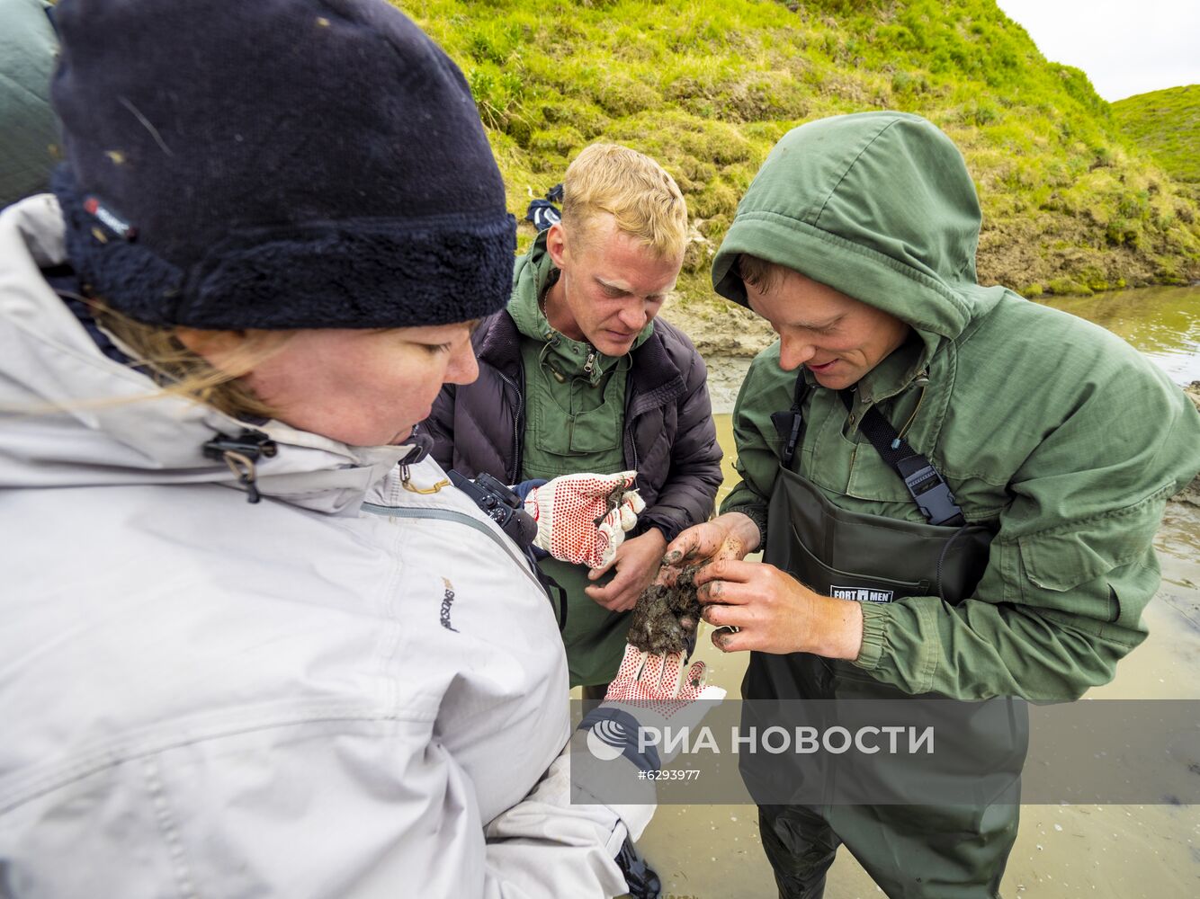 Скелет взрослого мамонта нашли на Ямале