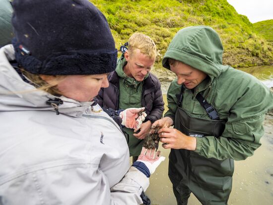 Скелет взрослого мамонта нашли на Ямале