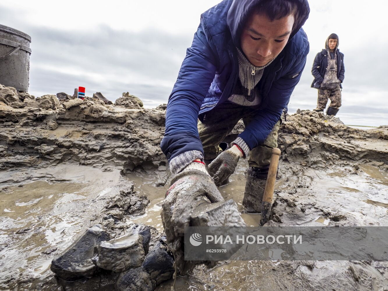 Скелет взрослого мамонта нашли на Ямале