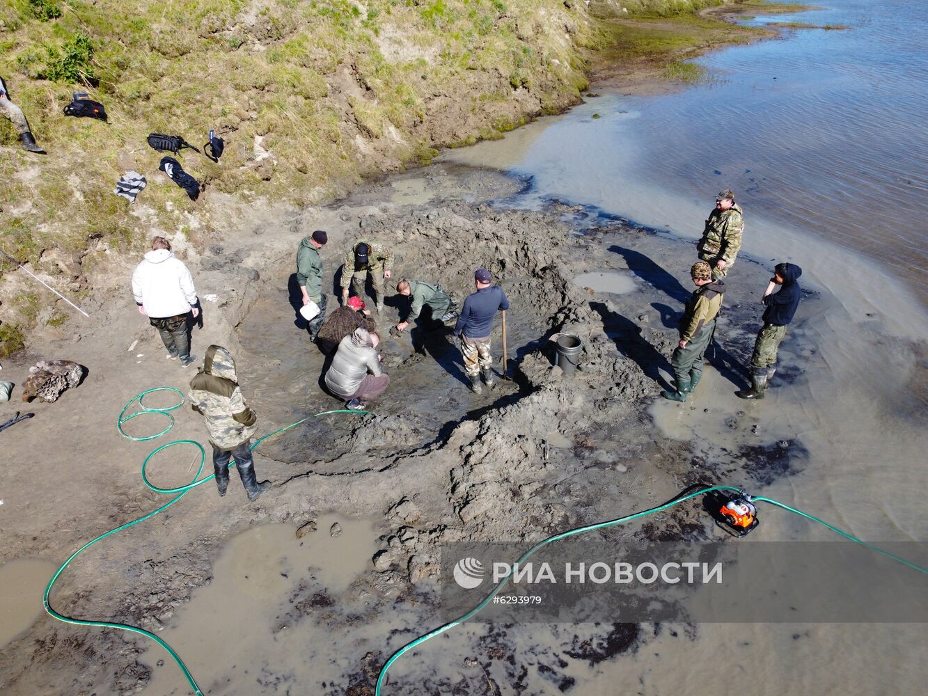 Скелет взрослого мамонта нашли на Ямале
