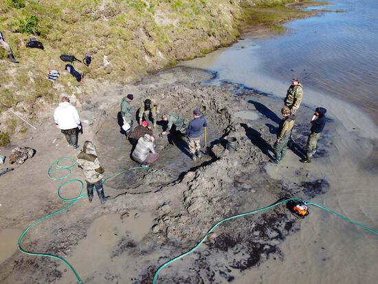 Скелет взрослого мамонта нашли на Ямале