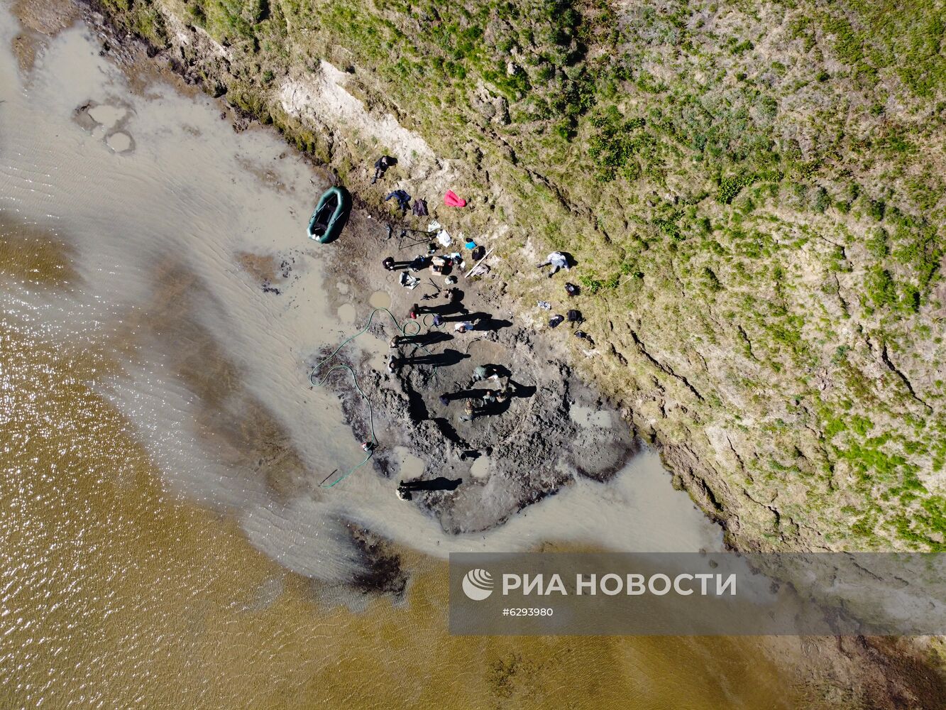 Скелет взрослого мамонта нашли на Ямале