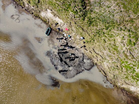 Скелет взрослого мамонта нашли на Ямале