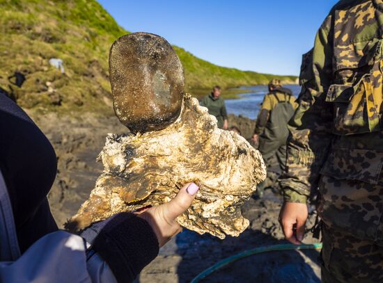 Скелет взрослого мамонта нашли на Ямале