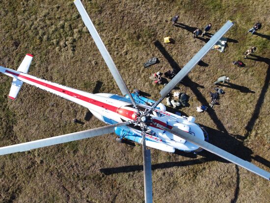 Скелет взрослого мамонта нашли на Ямале