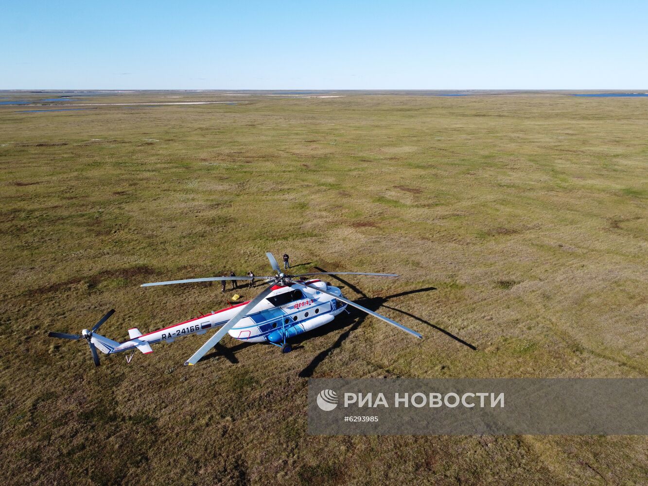 Скелет взрослого мамонта нашли на Ямале