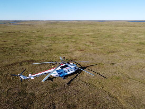 Скелет взрослого мамонта нашли на Ямале