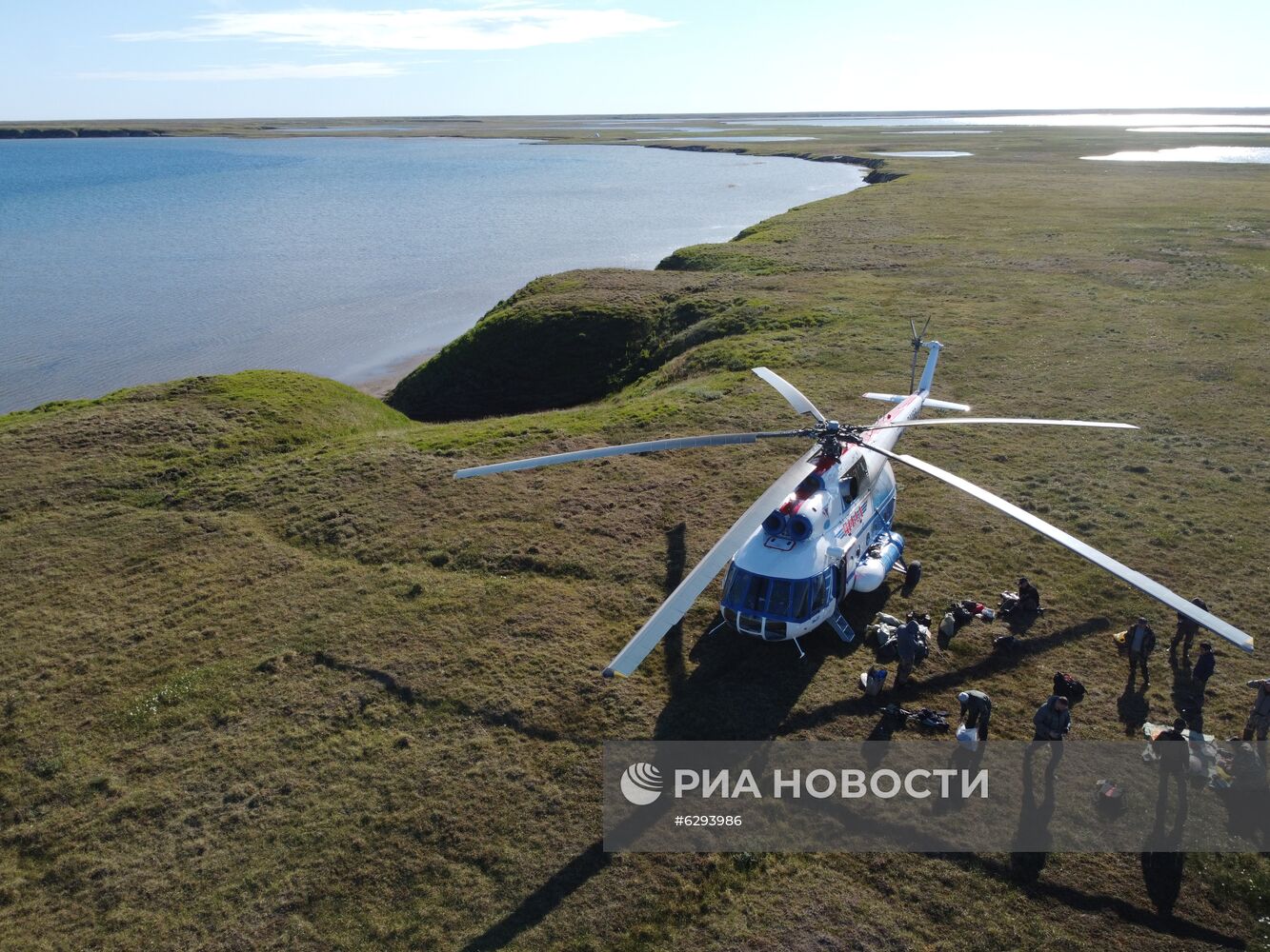 Скелет взрослого мамонта нашли на Ямале