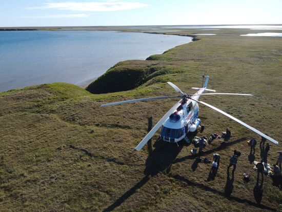 Скелет взрослого мамонта нашли на Ямале