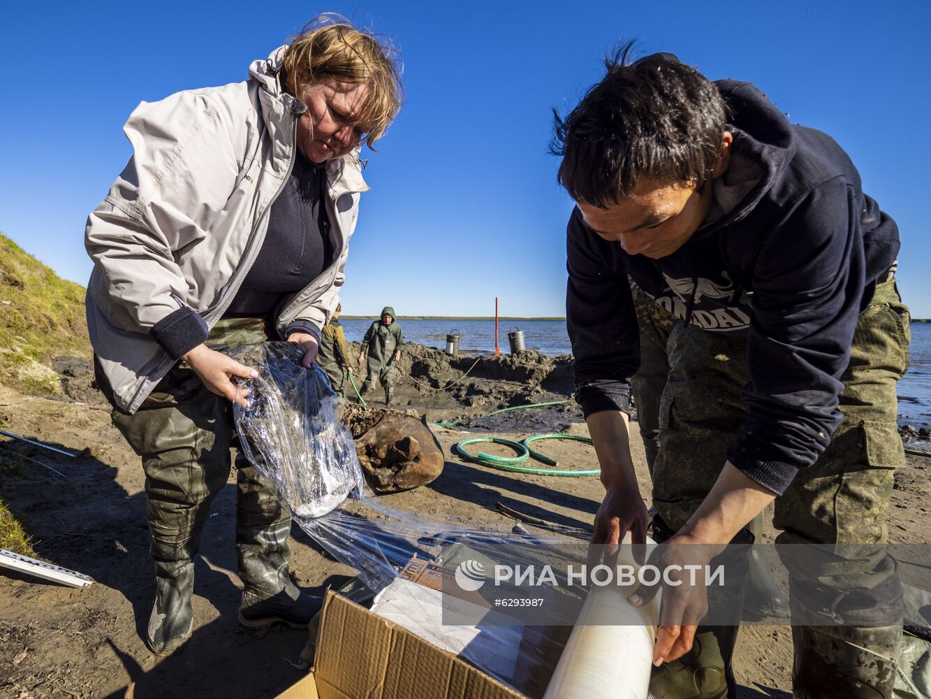Скелет взрослого мамонта нашли на Ямале