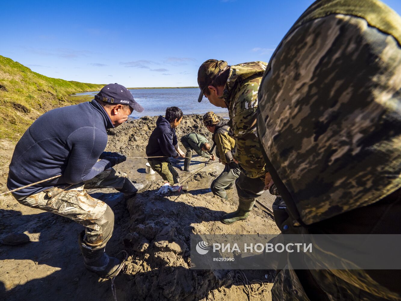 Скелет взрослого мамонта нашли на Ямале