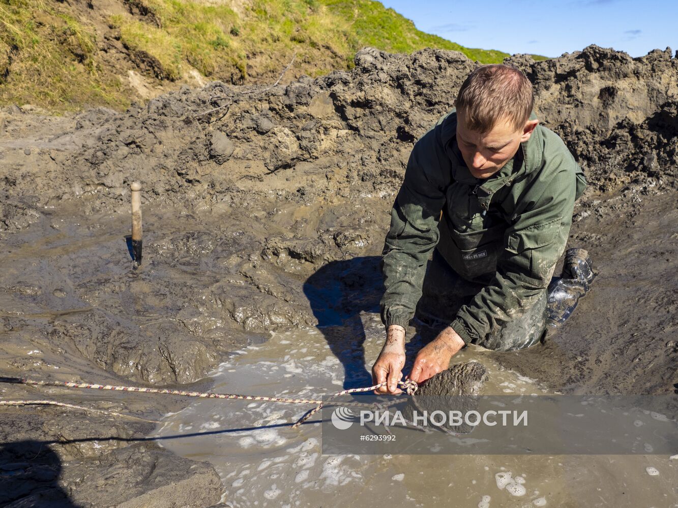 Скелет взрослого мамонта нашли на Ямале