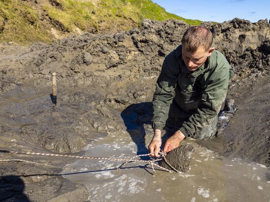 Скелет взрослого мамонта нашли на Ямале