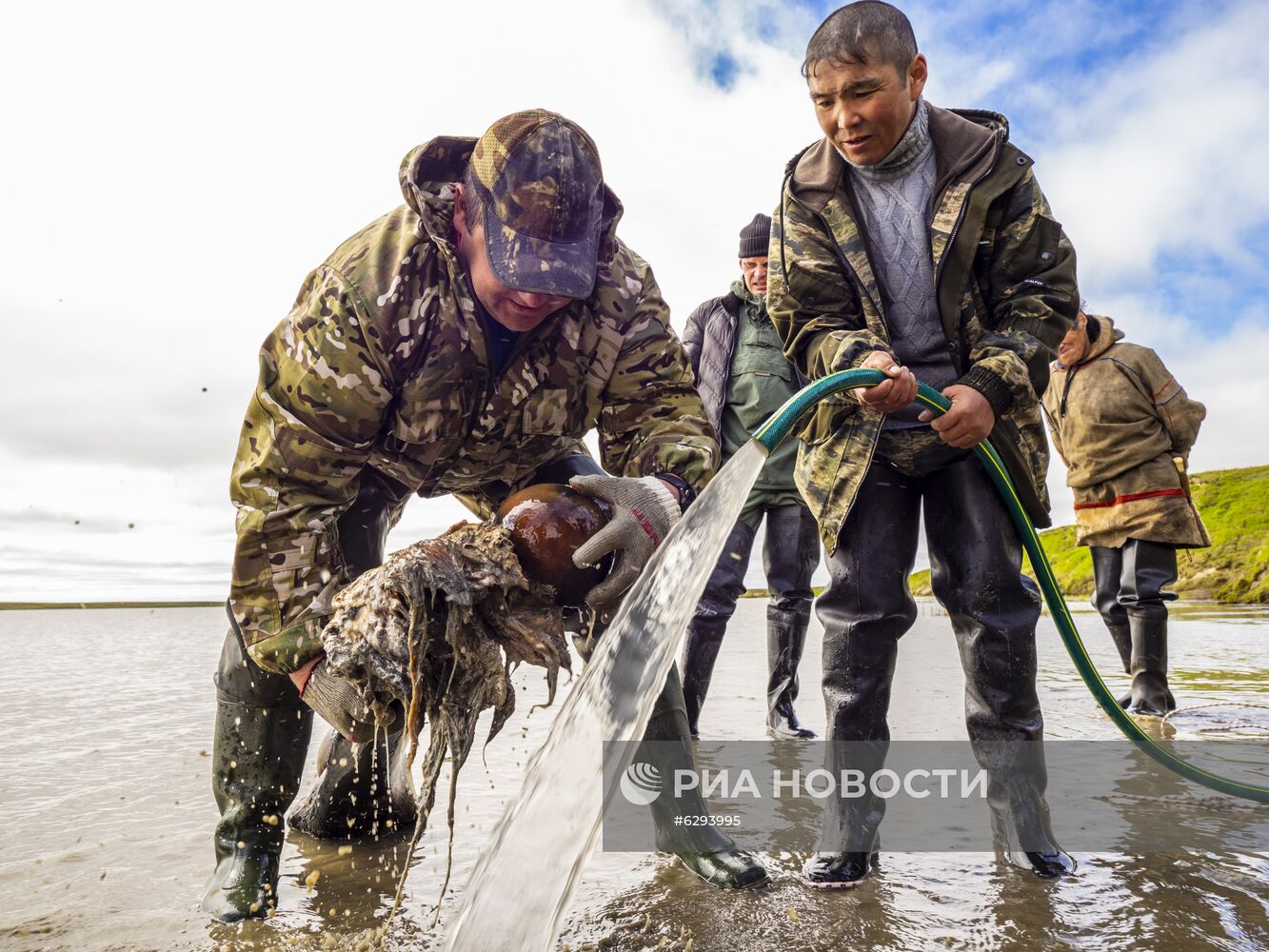 Скелет взрослого мамонта нашли на Ямале