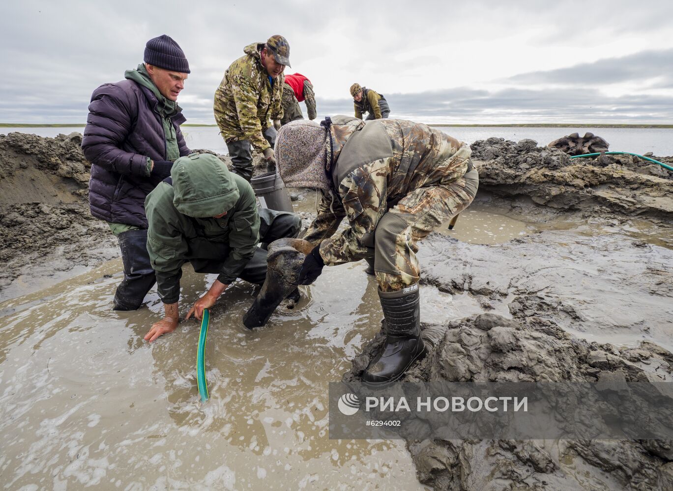 Скелет взрослого мамонта нашли на Ямале