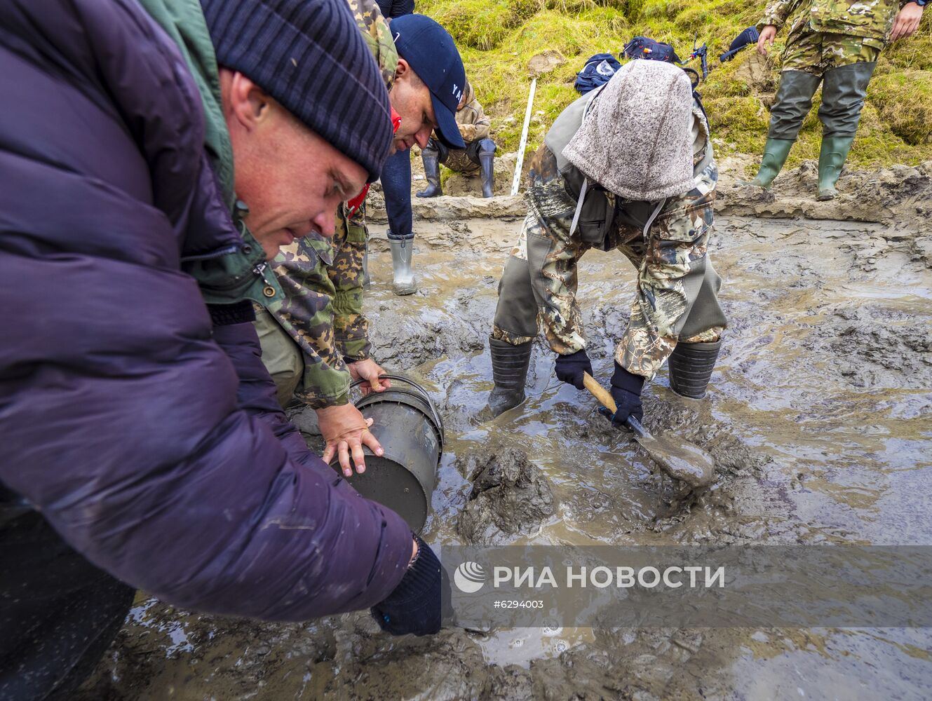 Скелет взрослого мамонта нашли на Ямале