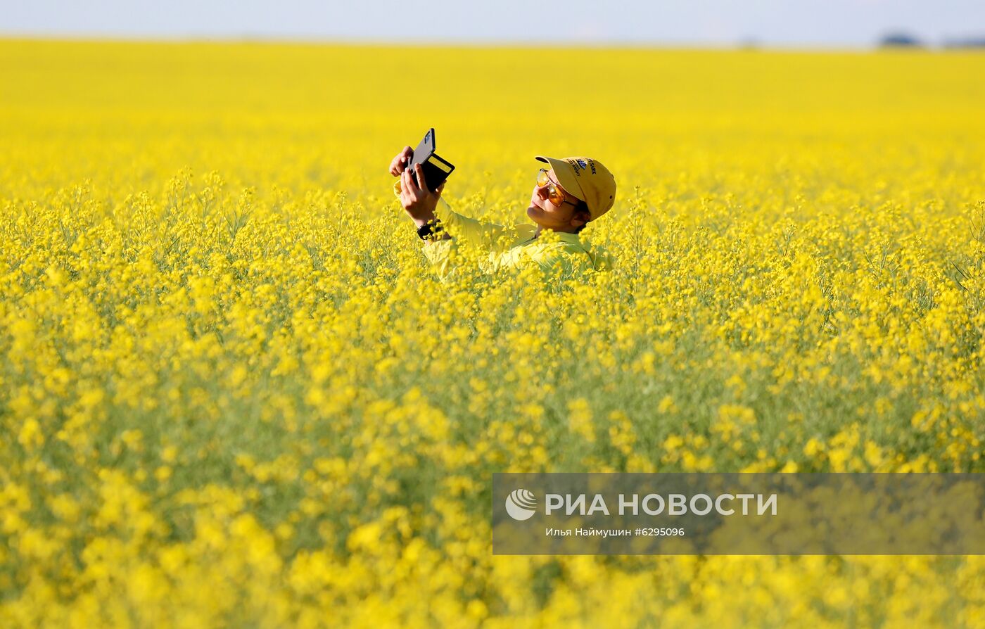 Выращивание сельскохозяйственных культур в Красноярском крае